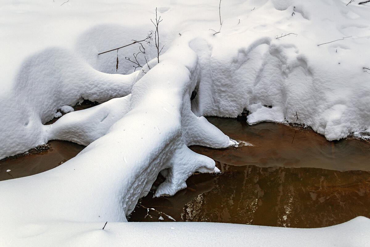 Лесной ручей - Сергей Цветков