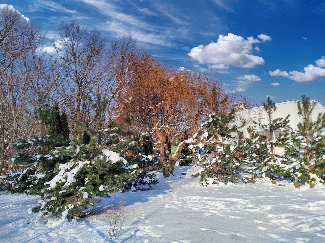 Мороз и солнце, день чудесный... - Ravile 