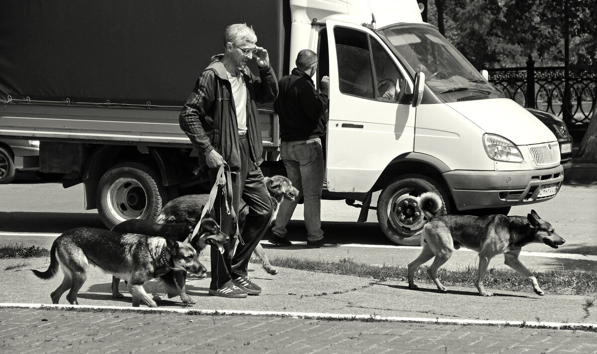 Игорёк... - СЮ 