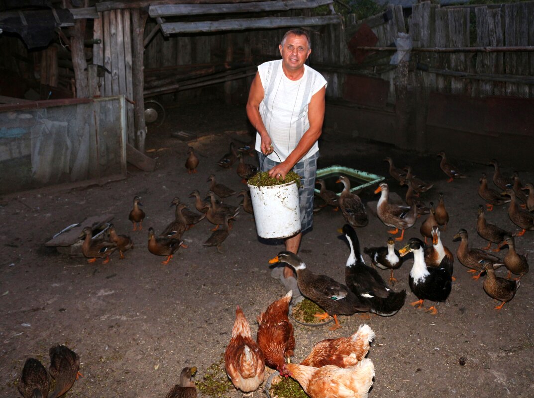 Подсобное хозяйство - Андрей Л. В.