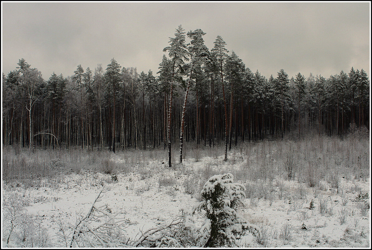 *** - Aleksandr Gal *** - Aleksandr Gal