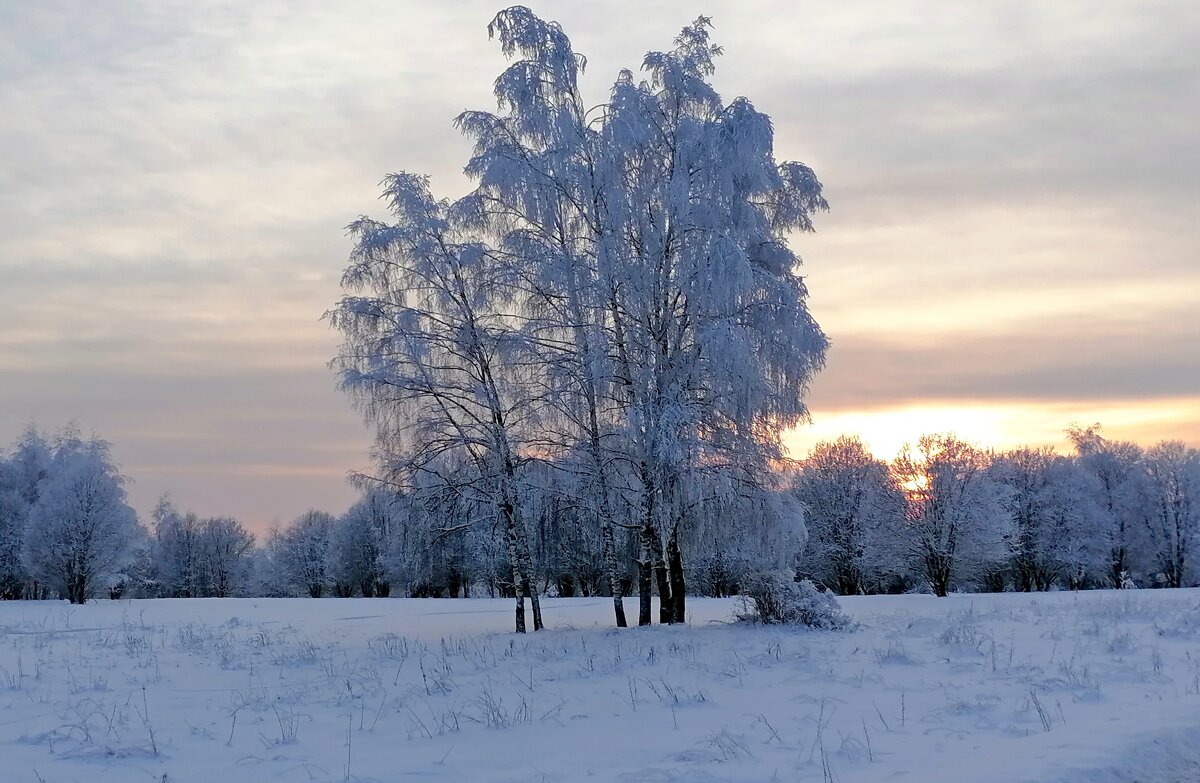 Зимний вечер. - Татьяна Корнеева Зимний вечер. - Татьяна Корнеева