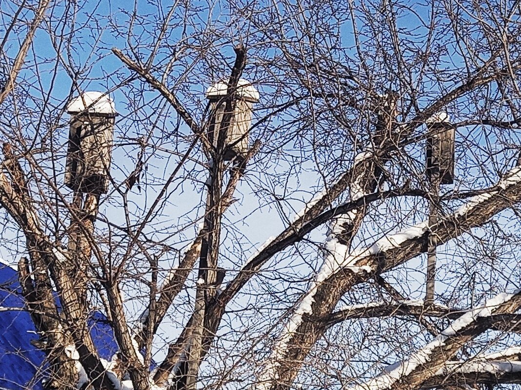 Советские скворечники - Игорь Солдаткин