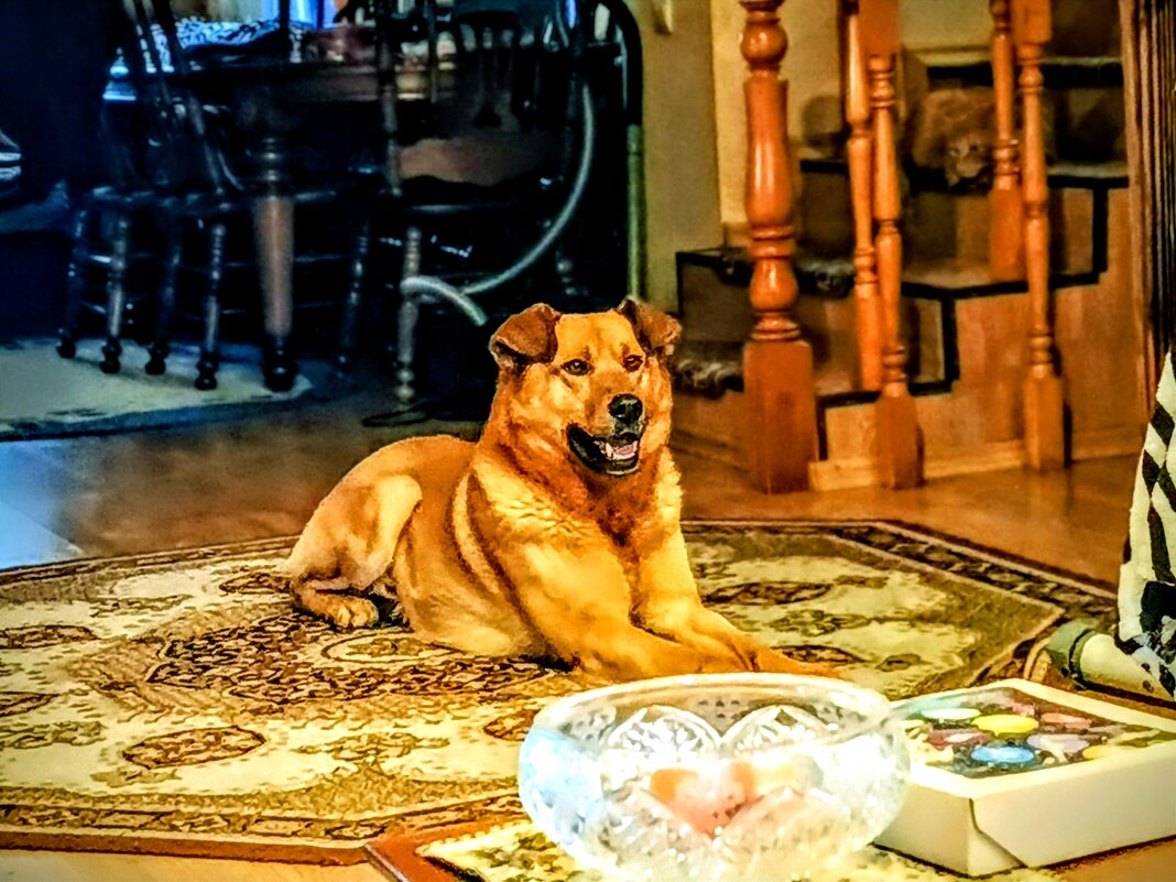 Леон. - Михаил Столяров