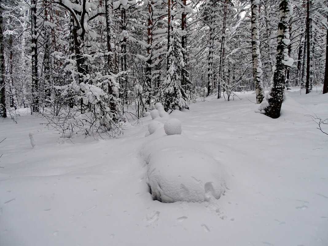 Снеговики на "банане" - Павел Трунцев