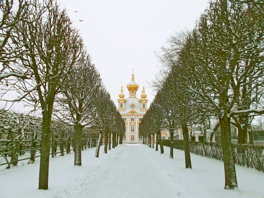 Аллея Верхнего сада - 2 - VasiLina *