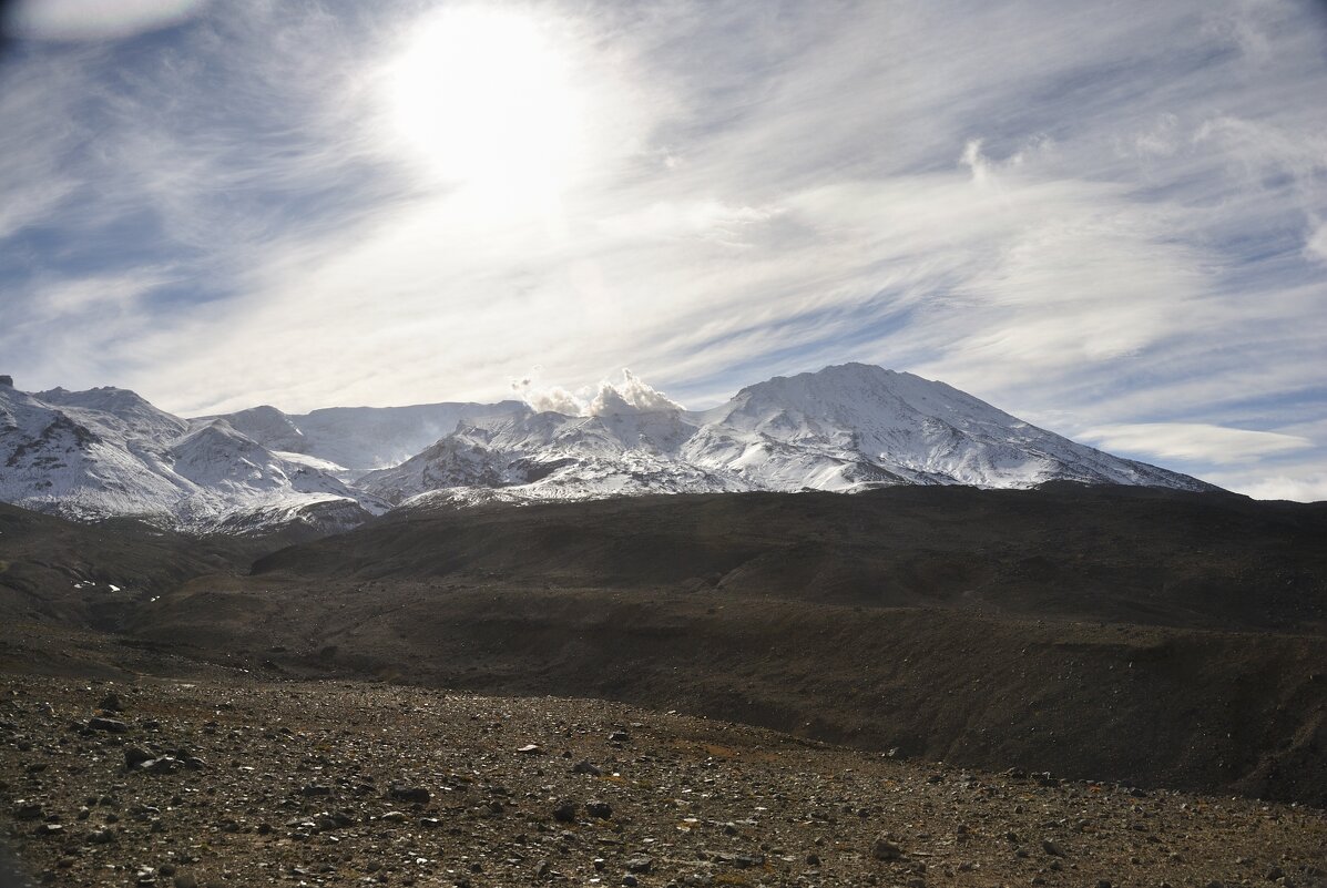 Белое солнце - Марина Виноградова Белое солнце - Марина Виноградова