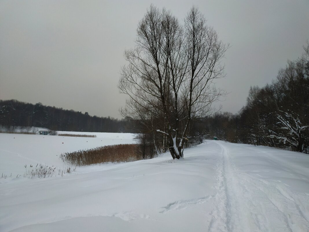 ЧБ графика зимы - Андрей Лукьянов