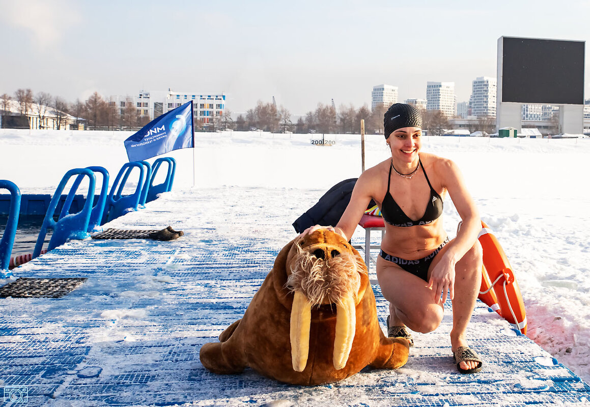 Про моржей - Александр 