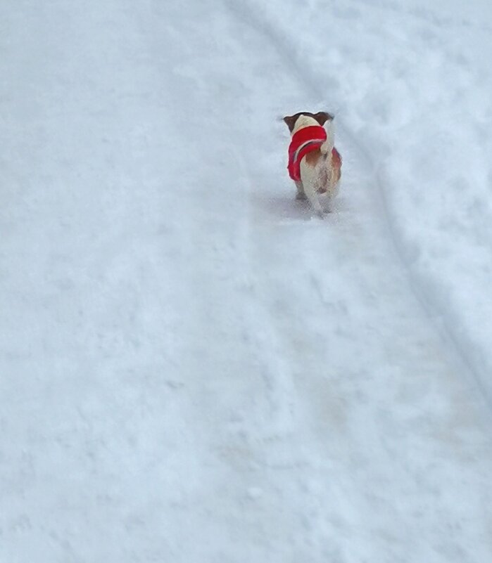 Главное-не потеряться. - Любимова Ольга Главное-не потеряться. - Любимова Ольга