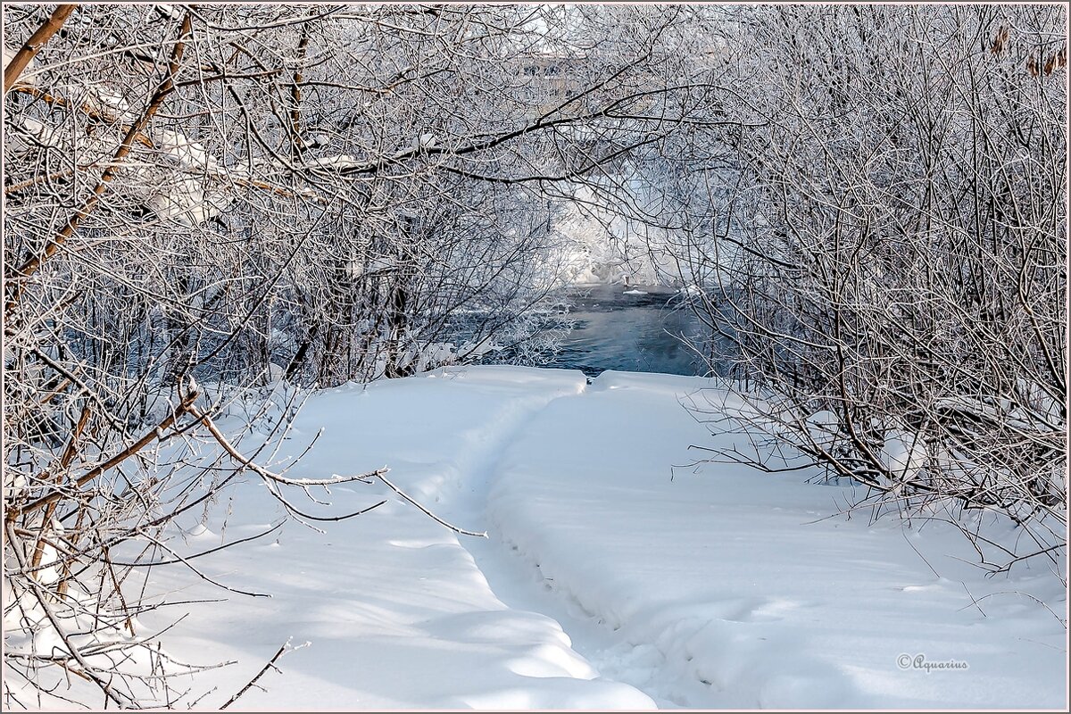 Морозным днём... - Aquarius - Сергей
