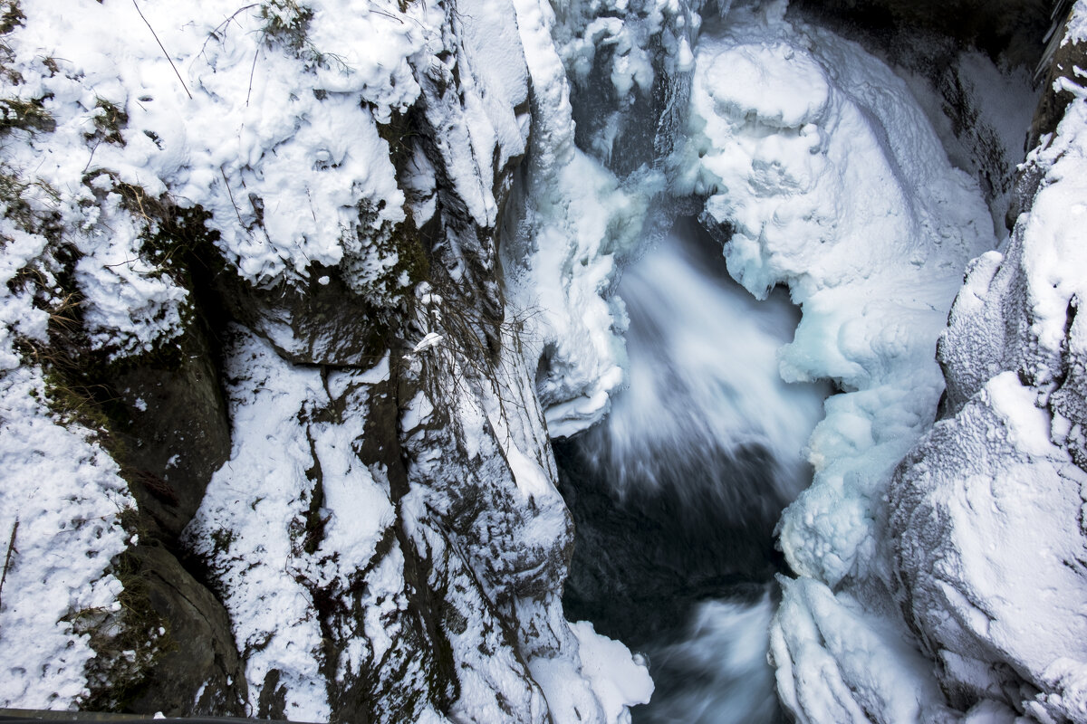 ** - Александр Липовецкий