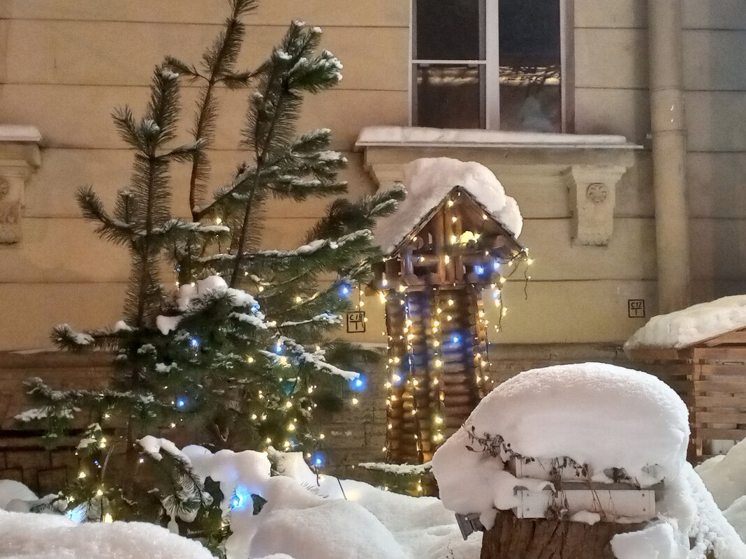 Зима - Сапсан 