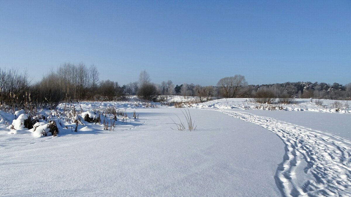 Зима в конце января. - Милешкин Владимир Алексеевич 