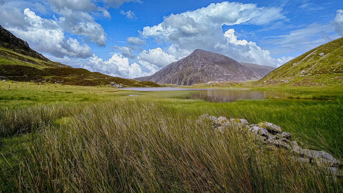 Тундра - Aleksey Afonin