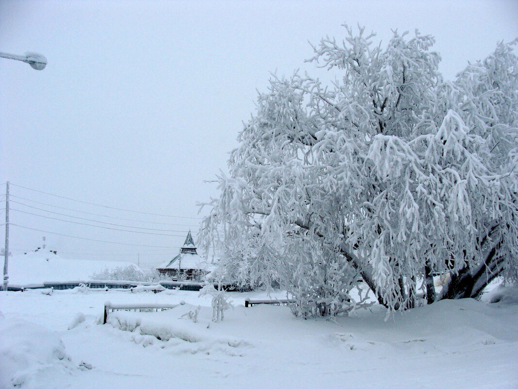 САЛЕХАРД. Обдорский острог - Tata Wolf САЛЕХАРД. Обдорский острог - Tata Wolf