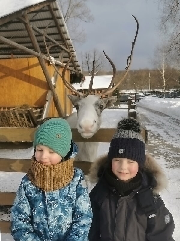 Городская ферма на ВДНХ в Москве - Ольга Довженко