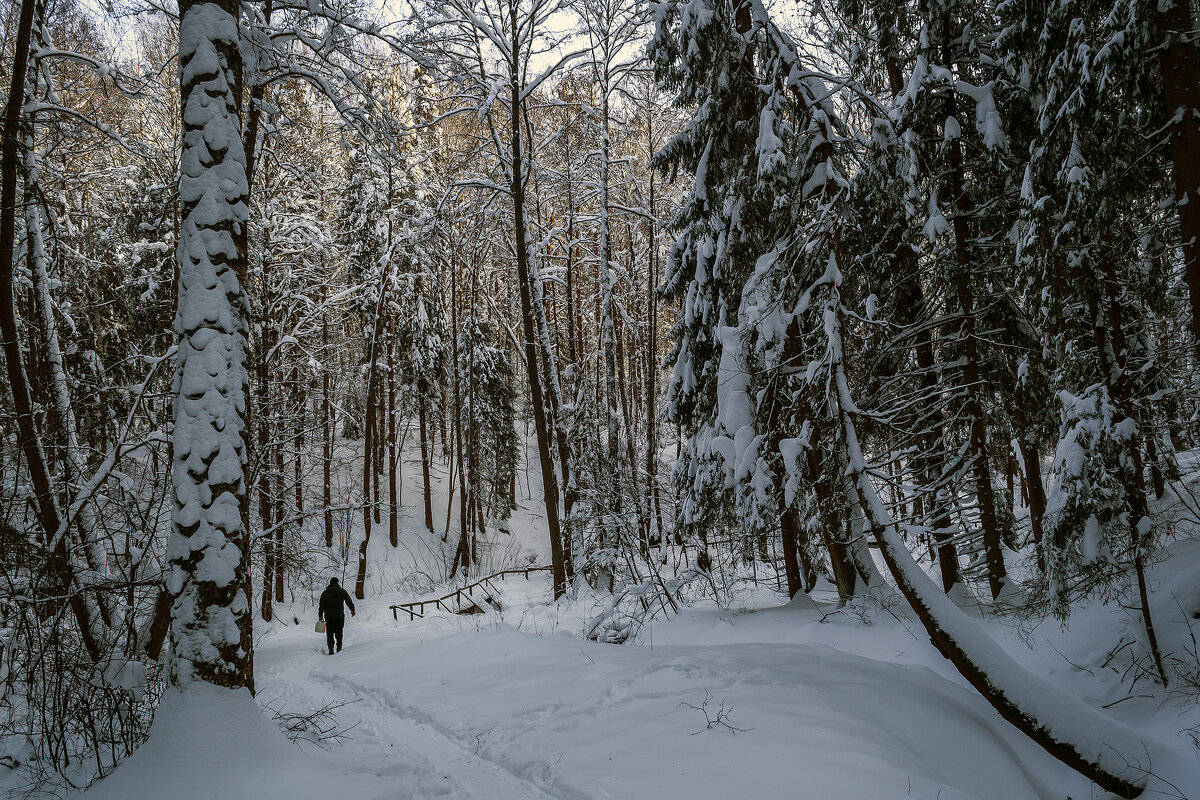 С водой из родника - Сергей Цветков С водой из родника - Сергей Цветков