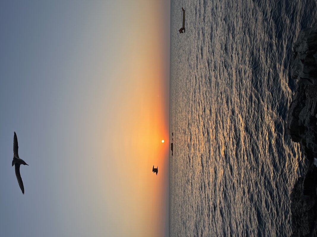 Крымский рассвет - Эльвира Белянская Крымский рассвет - Эльвира Белянская