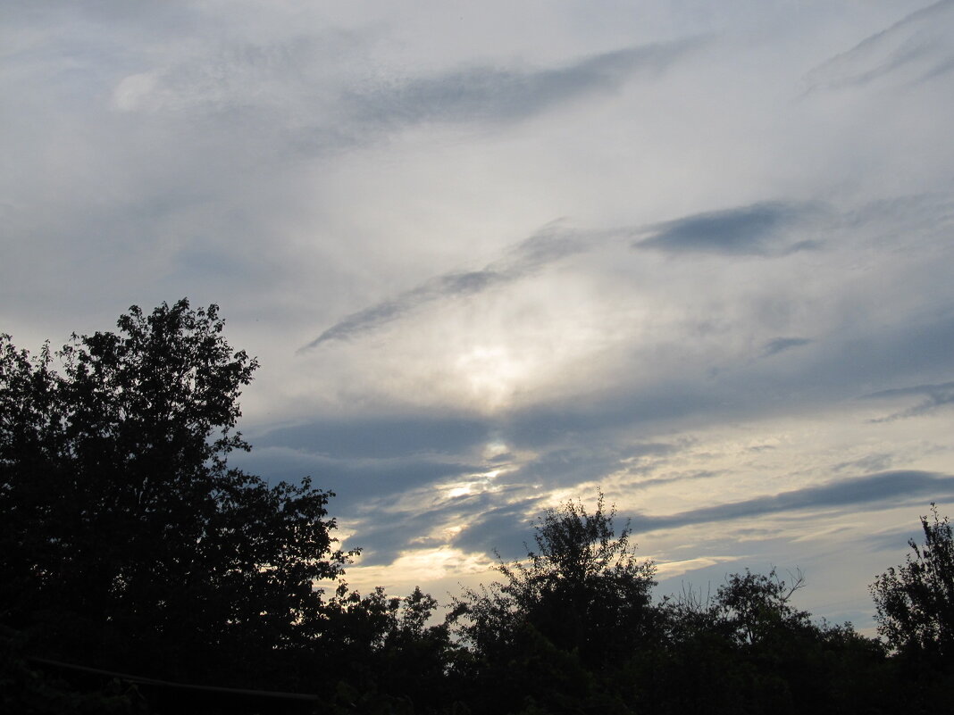 вечер на даче - Елена Шаламова вечер на даче - Елена Шаламова