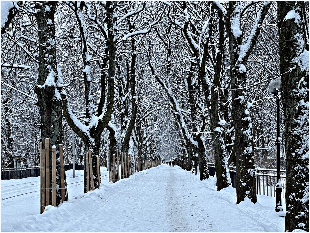 Зимние аллейки. - Валерия Комова