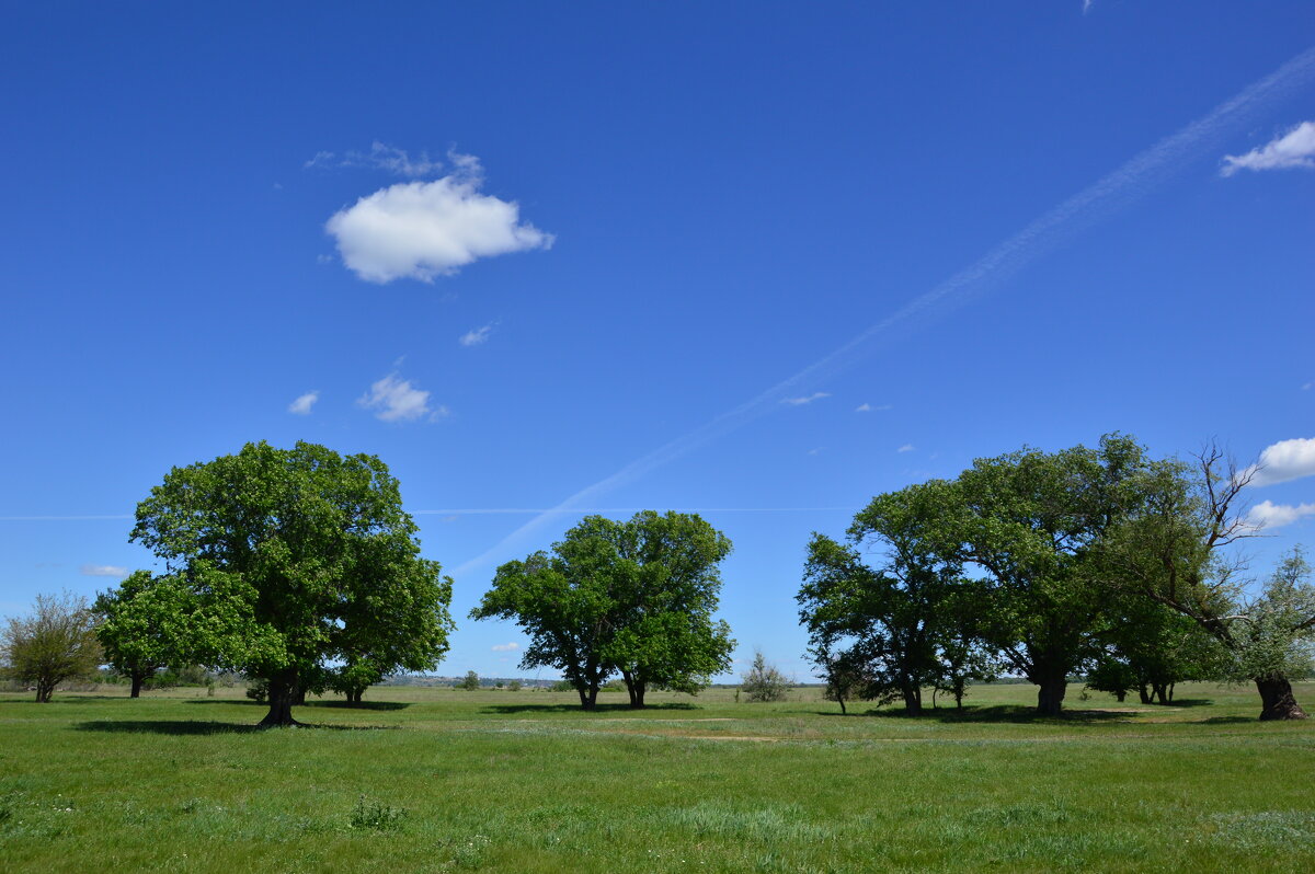 Весна в степи. - Виктор 