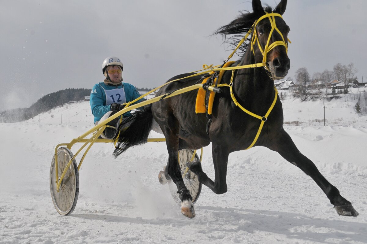 Летящей походкой ... )) - Владимир Хиль