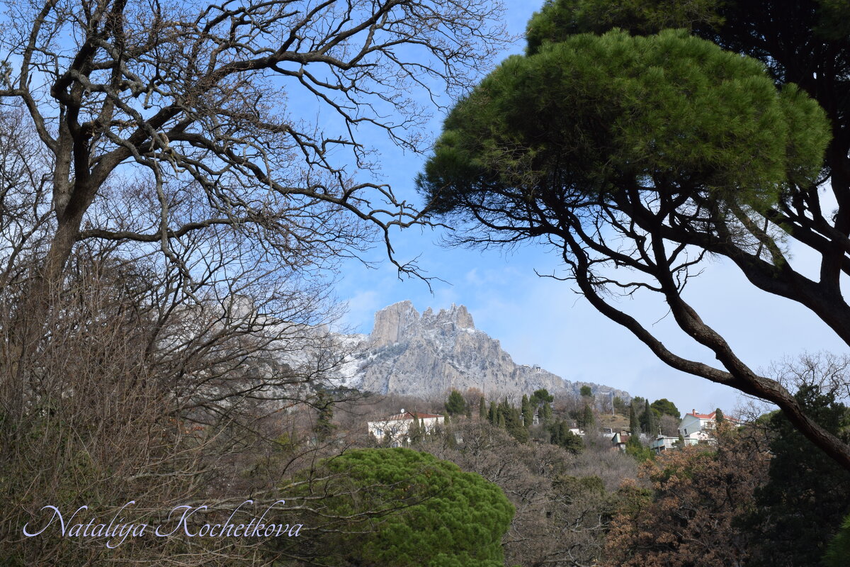 Природа Крыма - Amazing Cosmea