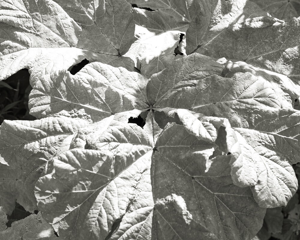 Фотография - Денис Безногов Фотография - Денис Безногов