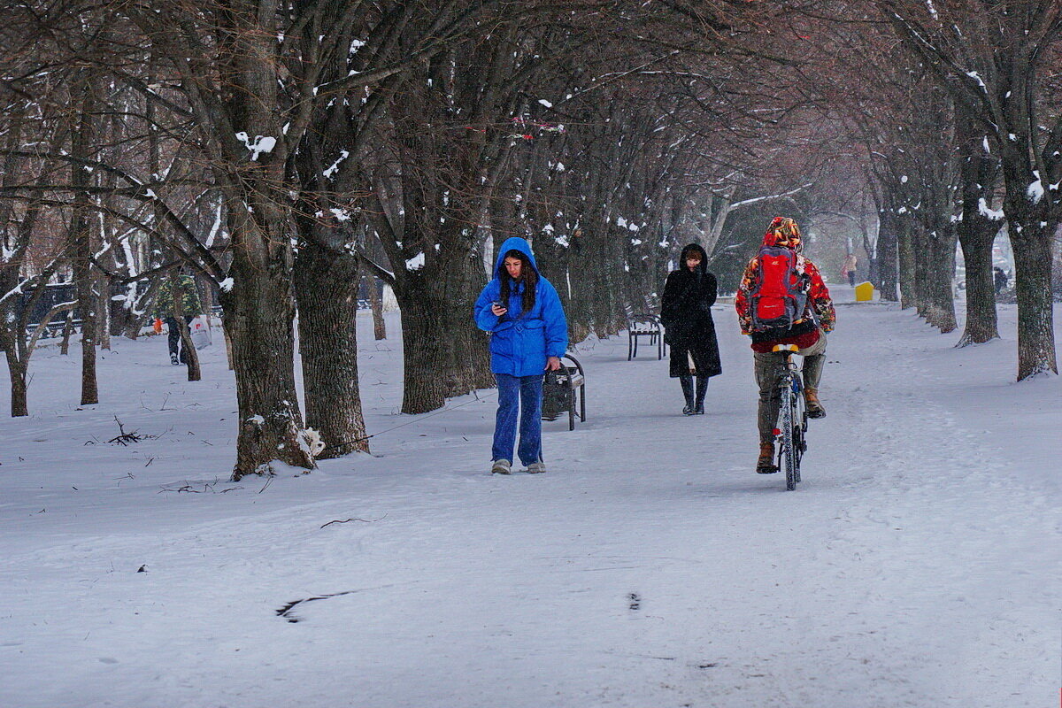 Когда у нас был снег... - Николай Саржанов Когда у нас был снег... - Николай Саржанов