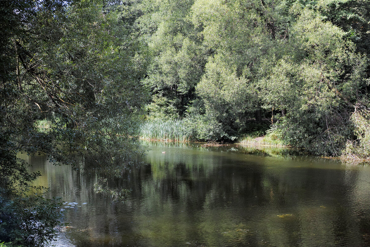 Щучий пруд - Игорь Белоногов