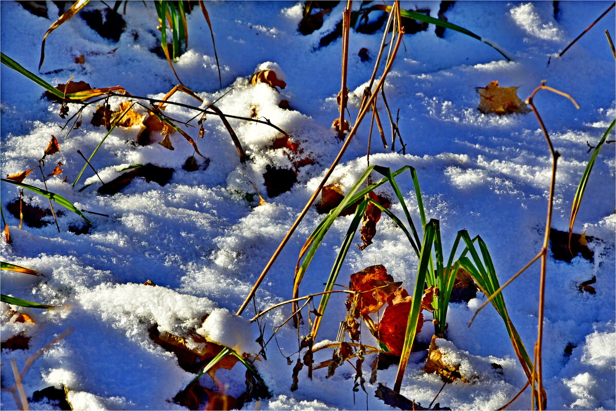 ЭТЮД - Юрий Владимирович 34