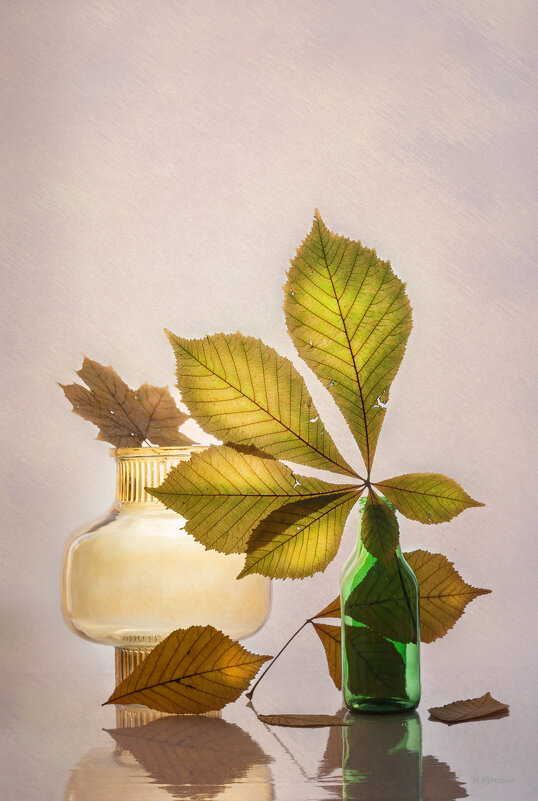 С осенними листьями - Нина Кутина