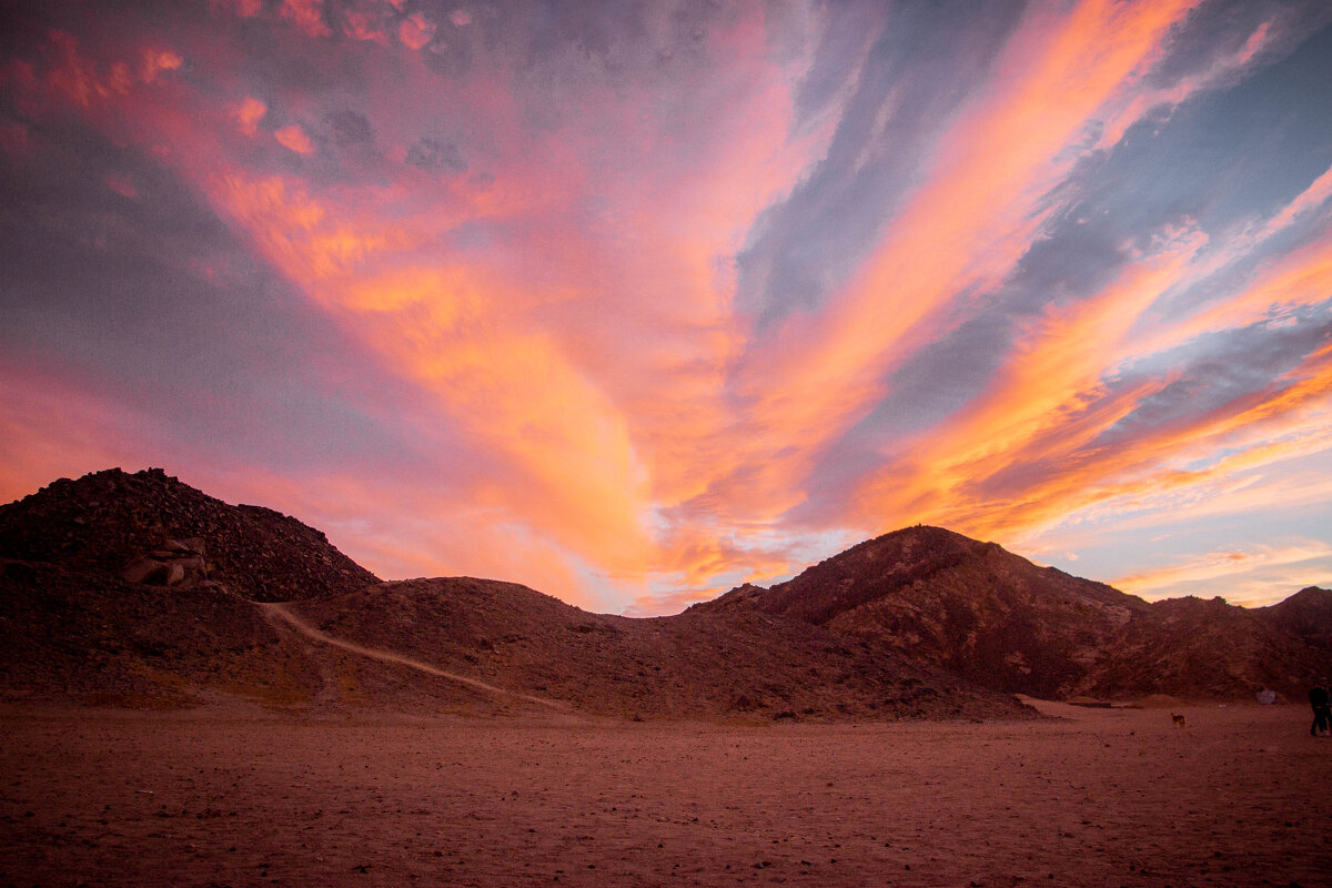 Закат в Сахаре - Максим 