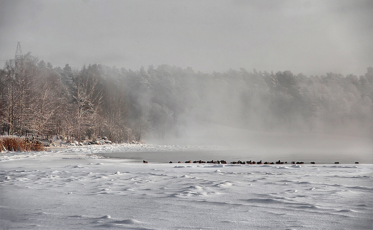 У полыньи... - Bosanat 
