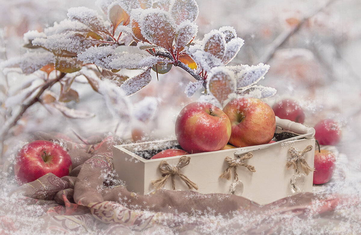 Навеянное днями снежно-морозными... ) - Bosanat 