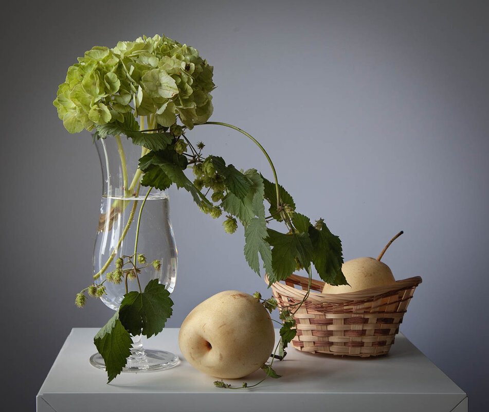 Натюрморт с зелёной гортензией. - Лилия *