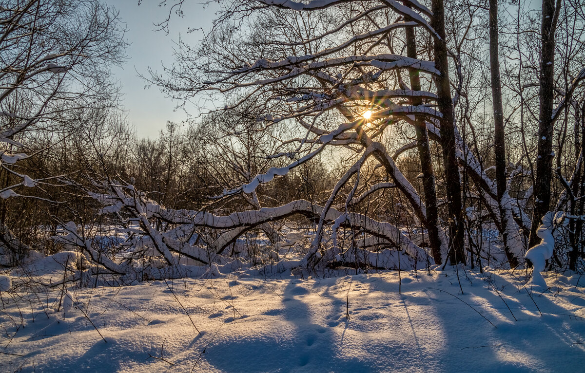 Мороз и Солнце 2 - Андрей Дворников