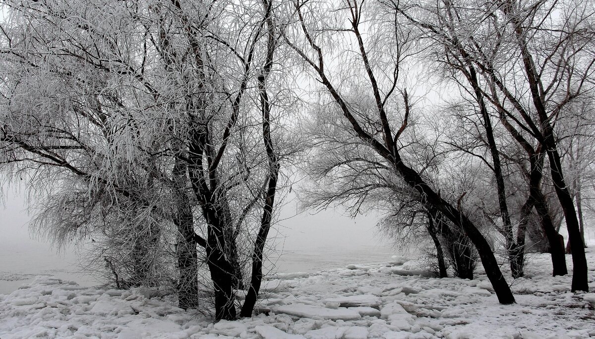 Зимушка - Олегъ Петрович
