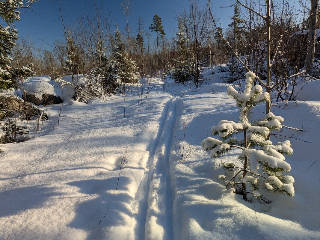 Не хотела...но помирюсь! - liudmila drake