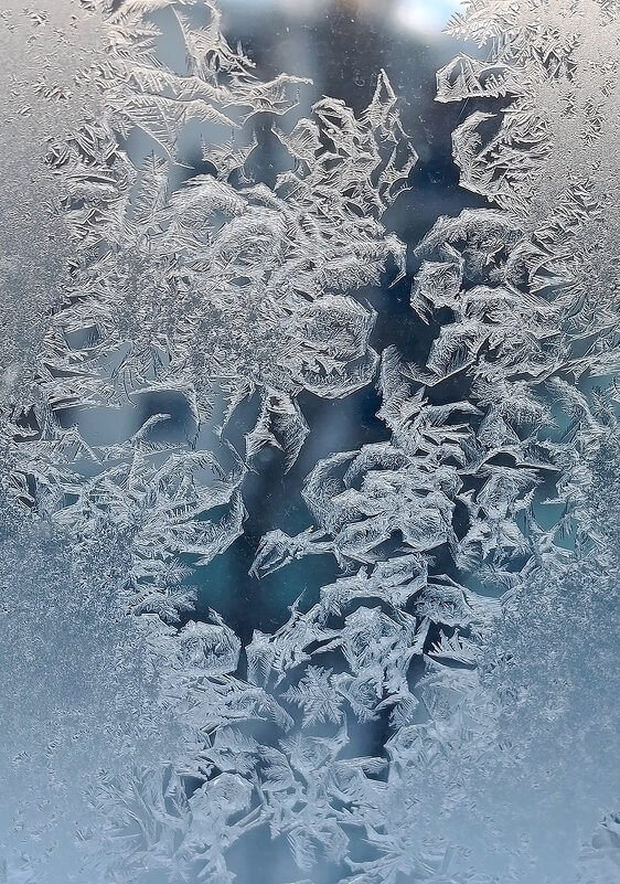 Цветы от Деда Мороза! - Валентина  Нефёдова 