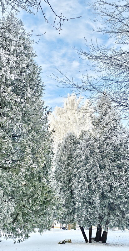 Зима в Калининграде - Михаил Свиденцов