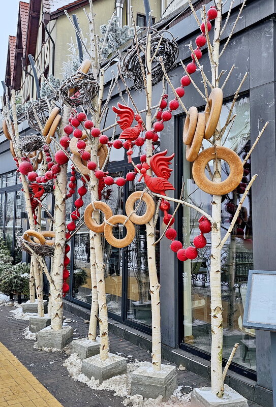 Зима в Калининграде - Михаил Свиденцов