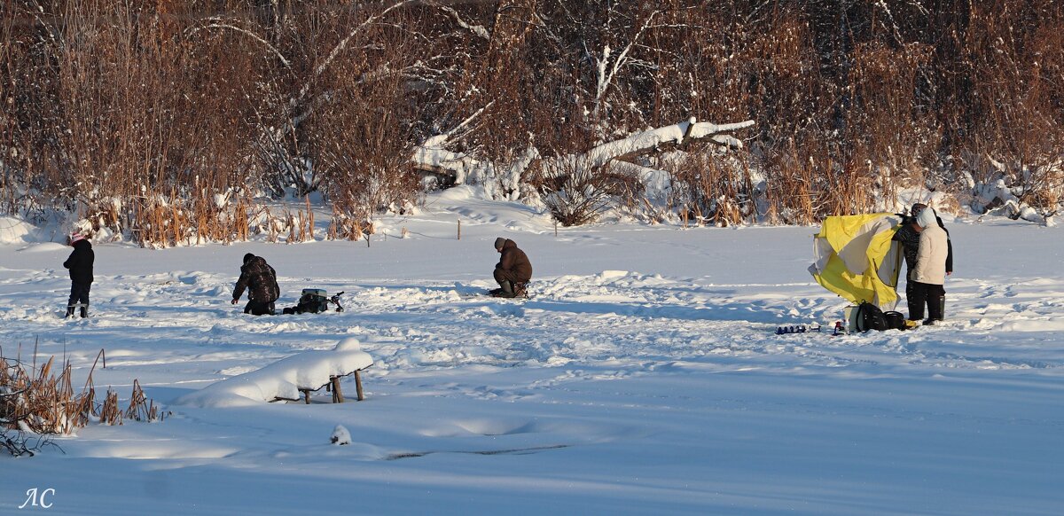 Прибыли новые рыбаки - Любовь Сахарова