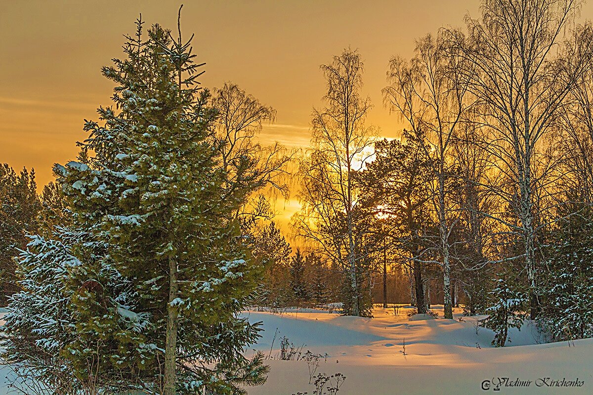 Закат в снежной сказке - Владимир Кириченко Закат в снежной сказке - Владимир Кириченко