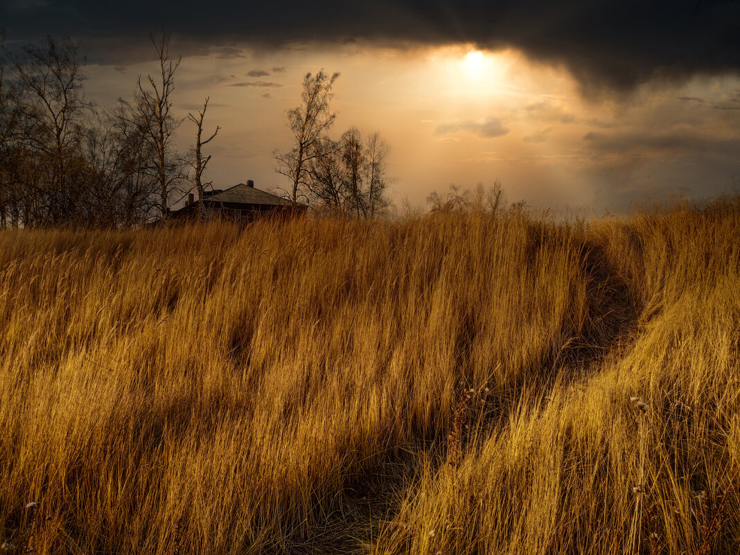 * * * - Уже не важно ... * * * - Уже не важно ...