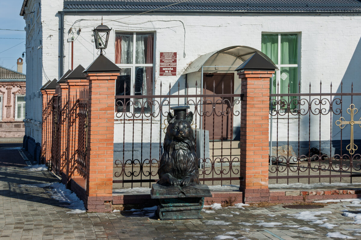 Ученый кот - Игорь Сикорский Ученый кот - Игорь Сикорский