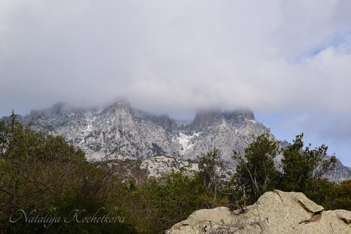 Природа Крыма - Amazing Cosmea