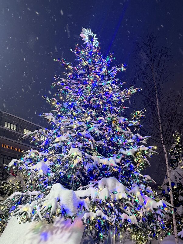 Зимняя сказка 2026 - Iren Brilliance