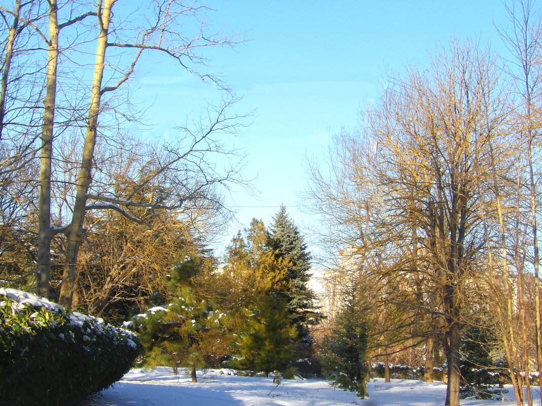 Зимний  пейзаж - Валентин Семчишин